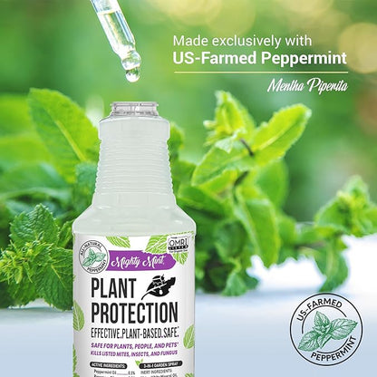 Mighty Mint Peppermint Plant Protection Spray for Insects, Gnats, Fungus, Mites, and Disease, 16 oz