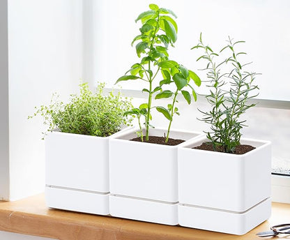 4 Inch Herb Planter Pot, Plastic Planter with Drainage Holes and Saucer, Modern Decorative Gardening Pot for Indoor Plants, Flowers, Herbs, Succulents, White, Set of 3, 76-Y-A-3