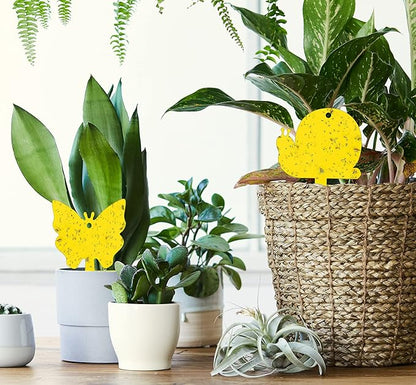 Gideal 48-Pack Dual-Sided Yellow Sticky Traps for Indoor/Outdoor Use, Gnat Trap for Flying Plant Insect Such as Fungus Gnats, Whiteflies, Aphids, Fruit Fly, Leafminers, etc - Cute Shapes