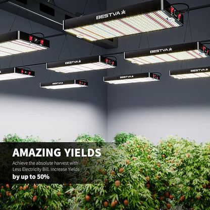 BESTVA DC3000 LED Grow Light with High Yield Diodes Full Spectrum for Indoor Plants, Greenhouse, Hydroponic, Veg Bloom Light