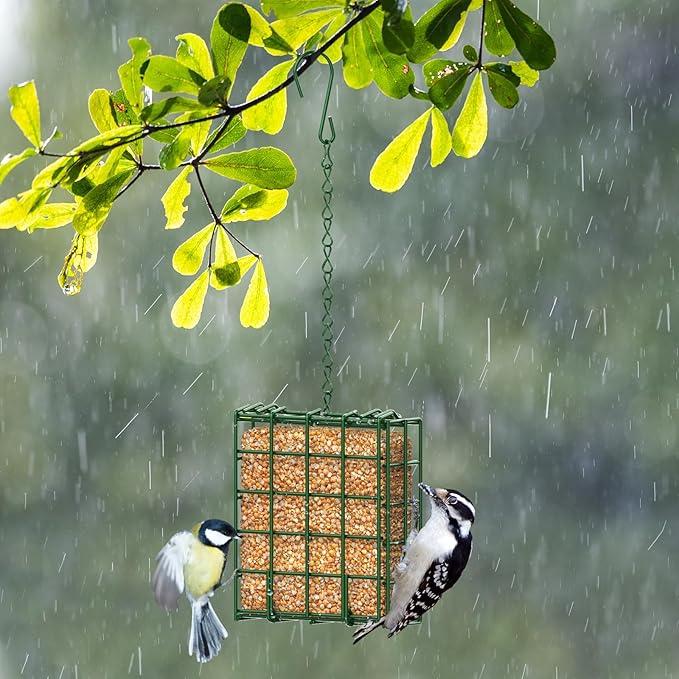 FLINTER Bird Feeder for Outdoors, Suet Feeder Hanging Bird Feeder, Hanging for Garden Yard Outside - Single Suet Cake Feeders fo Attracting Birds, Green