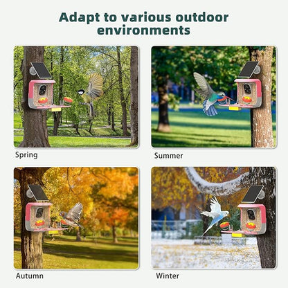 Smart Bird Feeder with Camera Solar Powered - 2K HD Live Video Camera AI Identify Birds, Visible Window Auto Capture& Motion Detection -Instant Arrival Alerts, Birds Lover Gifts
