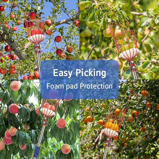 BsBsBest Fruit Picker Pole with Basket, Telescoping Fruit Picker Tool with Long Handle, 35-65 Inch Adjustable Apple Avocado Orange Picker, Stainless Steel Fruits Catcher Tree Picker