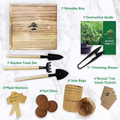 Bonsai Tree Starter Kit for Beginners - Indoor Live Plant Gardening Adult Craft Kits - Unique Christmas, Birthday, White Elephant Gifts for Women, Men & Kids