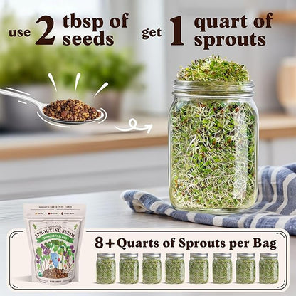 Seedboy Organic Non-GMO Sprouting Seeds, Immune System Booster - USA Grown Microgreens Mix with Broccoli, Purple Radish, Alfalfa - 8 oz Bag Makes 8 Quarts / 24 Servings (Immune System Booster Blend)