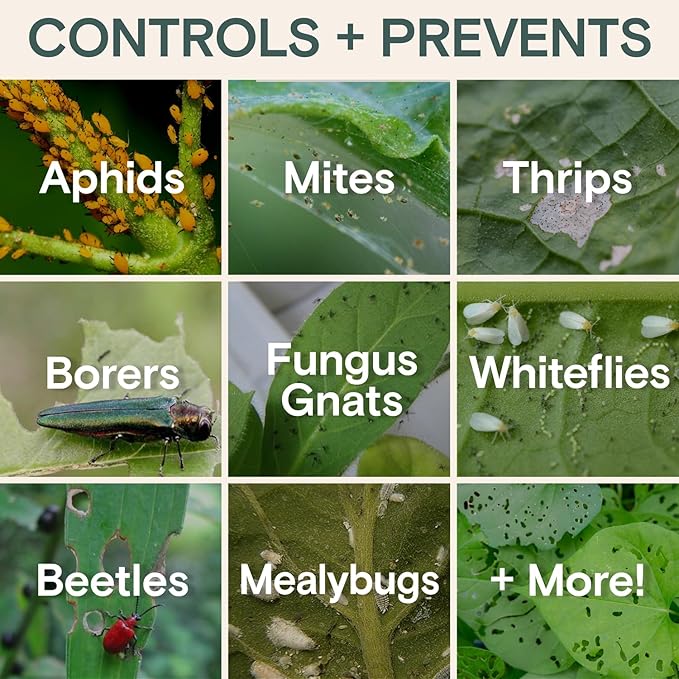 Organic Insecticide Liquid Concentrate – Natural Plant Insect Spray for Indoor & Outdoor Use, Fungus Gnat, Aphid & Spider Mite Control – Houseplant & Garden Insect Killer