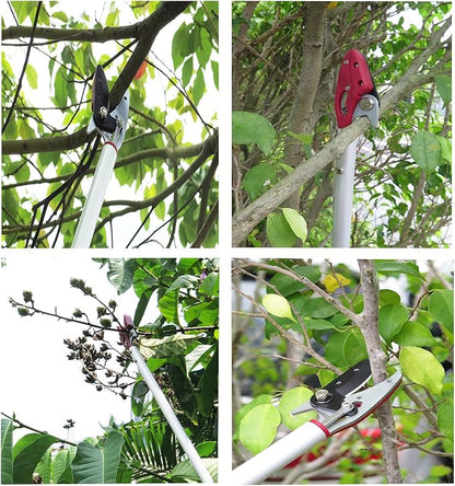6 Feet Cut and Hold Tree Pruner, Rotation Pole Tree Trimming, Long Reach Fruit Picker, Branches Bypass Lopper