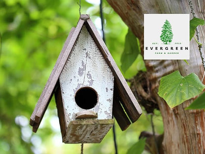 Birdseed Cylinders with Hole - Bird Seed for Outside Wild Birds (Small Cylinder, Mighty Bird Mix 1pc)