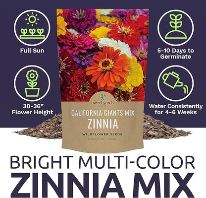 Bulk Zinnia Seeds - California Giants Mix - 5 Pounds - Over 240,000 Flower Seeds - Mixed Colors and Large Blooms