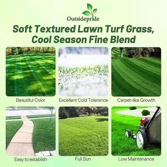 Outsidepride Midnight Kentucky Bluegrass Seed - 25 Lbs. Cold & Drought Tolerant, Sun-Loving Lawn Grass Seed, w/High Traffic Tolerance & Deep Root System, OptiGrowth Coated for Better Establishment