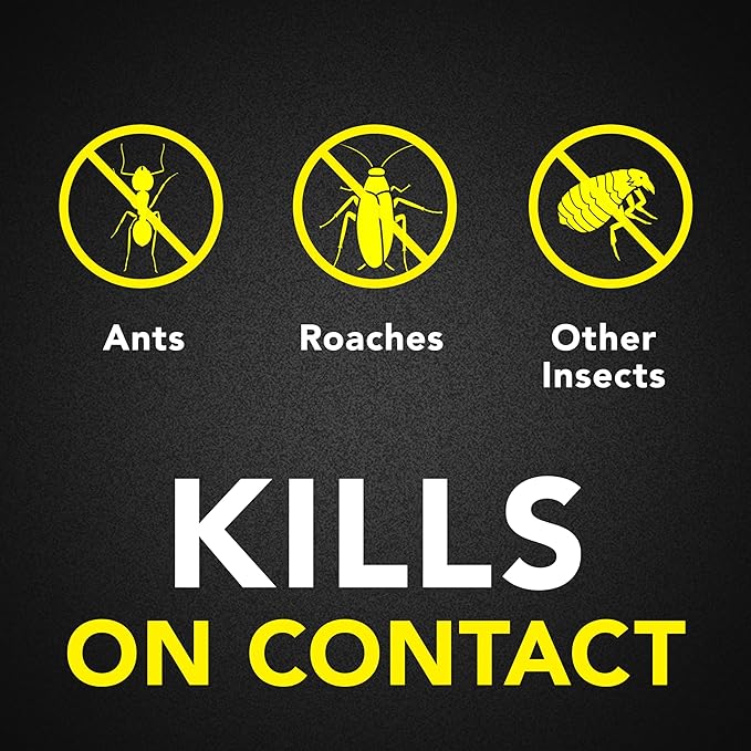 Raid Ant & Roach Killer Spray for Listed Bugs, Keeps Killing for Weeks, Lavender Scent, 17.5 oz