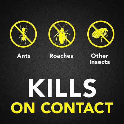 Raid Ant & Roach Killer Spray for Listed Bugs, Keeps Killing for Weeks, Lavender Scent, 17.5 oz