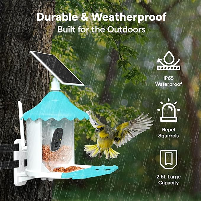 BirdsView Solar Powered Bird Feeder with 2K Ai Camera, Hummingbird Feeder, Bird House Camera, Live Alerts & Species Recognition – Gift for Bird Lovers