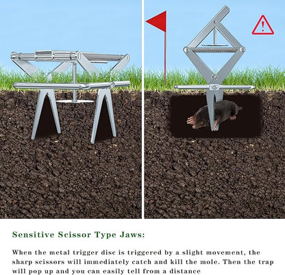 Mole Traps That Kill Best, Scissor for Lawns Vole Traps Outdoor Use, Mole Trap Easy to Set Galvanized Steel Reusable Quick Capture Gopher