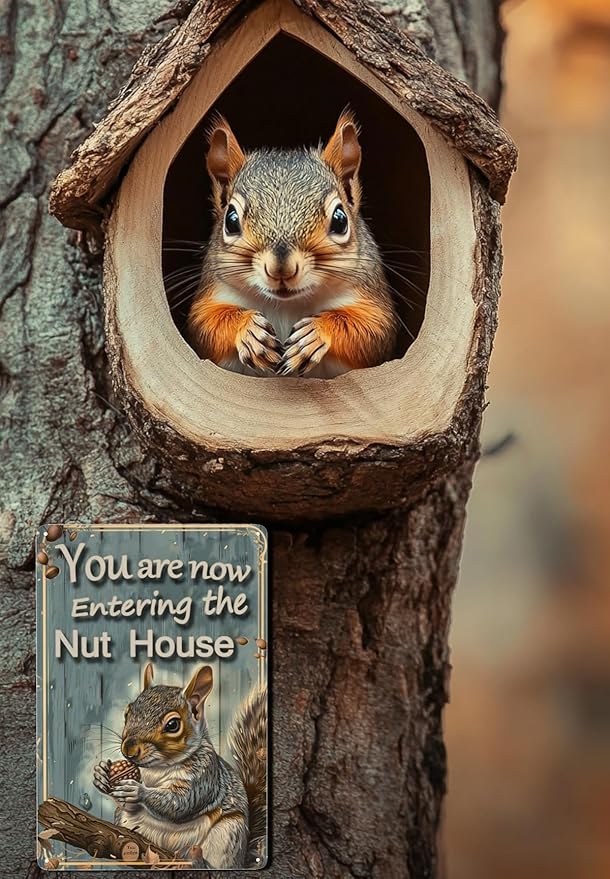 Funny Squirrels Signs Welcome To The Nut House Squirrels Stuff For Indoor Outdoor Decor 12x8 Inches You Are Now Entering The Nut House