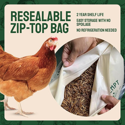 Hatortempt Dried Mealworms - 2 Lb Bag - High Protein Chicken Feed, Mealworms for Birds & Chickens - Meal Worms for Wild Birds & Turtles