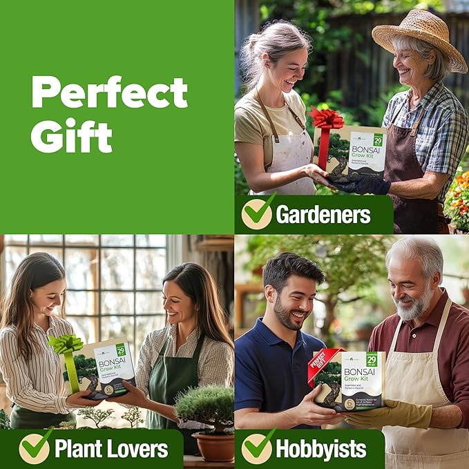 HOME GROWN 𝗨𝗦𝗔 Bonsai Tree Kit – 6 Heirloom Varieties with Unique Pots – DIY Bonsai Starter Kit for Adults & Beginners – Christmas Gift for Men Women Gardeners Plant Lovers – Indoor Growing Kit