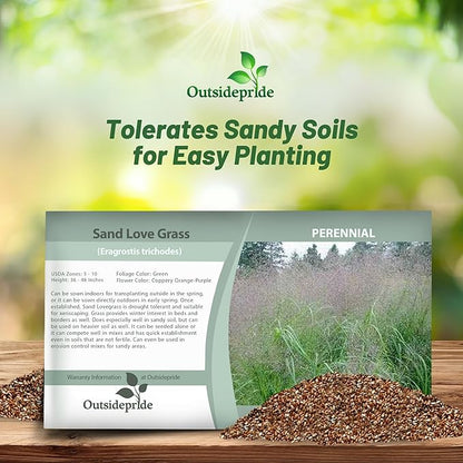 Outsidepride Sand Love Grass Seeds - 5,000 Pcs. Perennial, Easy to Grow, Drought-Tolerant, Tall Ornamental Grass, Thrives in Sandy Soil, Wind & Erosion Control for Landscaping, Year-Round Beauty