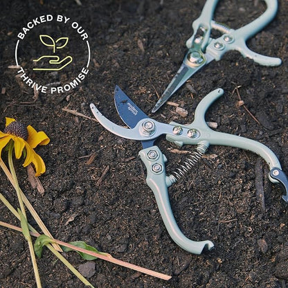 Modern Sprout Hand Pruners & Shears Set with Blister Pack - Lightweight Gardening Tools with Easy Lock - Sharp Carbon Steel Blades -Rust Resistant Scissors for Herbs, Flowers - Lavender