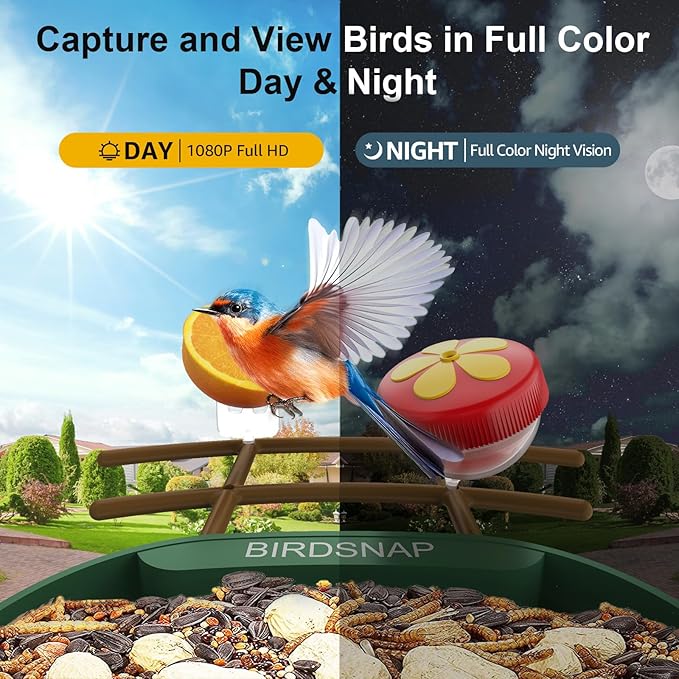 birdsnap® PAV- Smart Bird Feeder with Camera Solar Powered, 64GB Card & 2K HD Record Video Bird Camera Live with 5 DIY Add-ons, AI Identify Auto Capture, Ideal Gift for Birds Lover