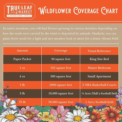 Midwestern Wildflower Seeds Bulk – 5 lb, 3 Million+ Seeds – Native Prairie Wildflower Mix for Midwest USA – Annual & Perennial Pollinator Flower Seed for Garden, Meadow & Landscaping