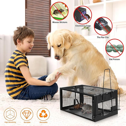 2 Pack Humane Rat Traps - Live Mouse Rat Cage Traps Catch and Release for Indoor Outdoor, Small Animals Traps, Easy to use(12.6''*5.5''*4.7'') Black
