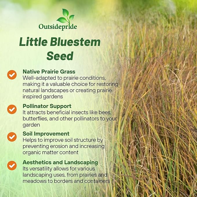 Outsidepride Perennial Little Bluestem Grass Seed - 25 lbs. Warm Season, Drought Resistant, Long-Lived Native Prairie Grass Seed, Ideal for Erosion Control, Ornamental Landscaping & Wildlife Gardens