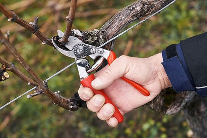 Felco F 15 Pruning Shears – 4.7" Garden Clippers with Rubber Grip & Anvil Blade | Hand Pruners for Gardening | Garden Tool Cutter with Forged Aluminum Handle, Lightweight Precision for Small Hands