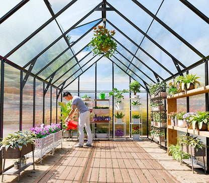 Outdoor Polycarbonate Greenhouse Kit,16x10x10 FT Large Outsides Aluminum Frame Heavy Duty Green House with Transparent Panels Windows Door for Backyard Garden,Walk in Plant Greenhouses,Black Frame