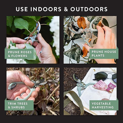 Modern Sprout Hand Pruners - Lightweight Pruning Shears W/Easy Lock- Gardening Scissors - Bypass Sharp Carbon Steel Blade - Rust Resistant - Garden Tools - Reusable Holster - Lavender
