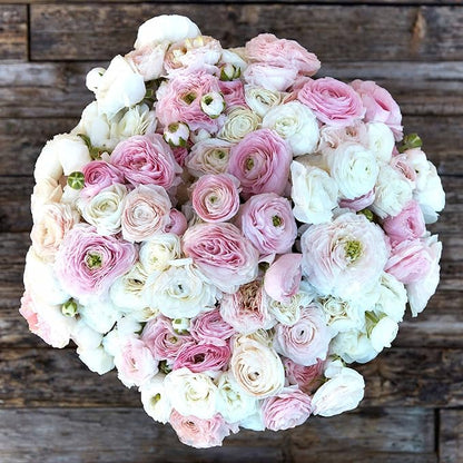 Eden Brothers Ranunculus Bulbs - Eternal Bliss Mix