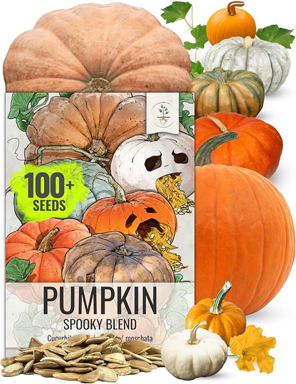 Seed Needs Pumpkin Seeds Specialty Spooky Blend 10+ Varieties | Lumina White, Baby Boo, Blue Jarrahdale, Cinderella & More! | Heirloom Non-GMO Untreated | Bulk Pumpkin Seeds for Planting