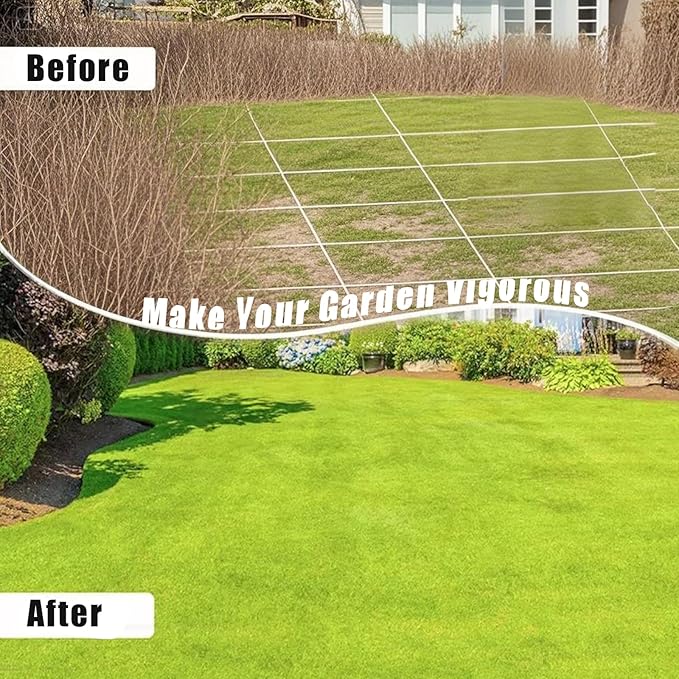 Lawn Aerator Garden Tool with Soil Core Tray, 3 in 1 Manual Grass Plug Air Aerator with Spike Tool and Half Moon Edging Tool, Coring Aeration for Lawn Yard Care