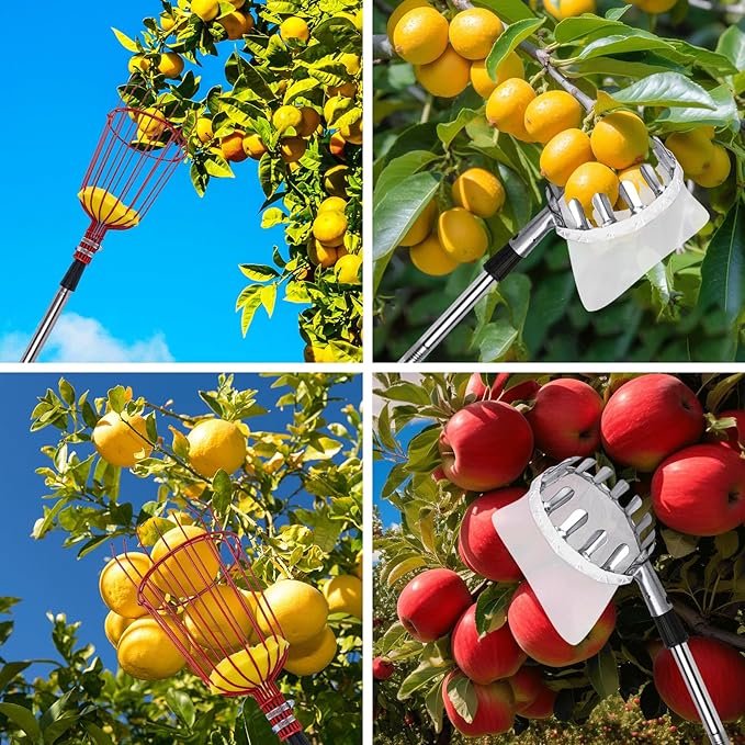 20 Ft Fruit Picker with Wire Basket and Bag Basket,Adjustable Stainless Steel Fruit Picker Pole with Universal Thread Head,35-243 Inch,Pick Fruit Tool,Suitable for Picking Apples,Mangoes and Others