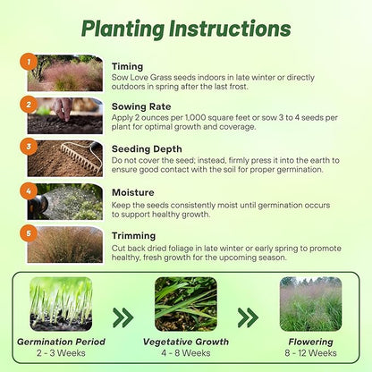 Outsidepride Sand Love Grass Seeds - 5,000 Pcs. Perennial, Easy to Grow, Drought-Tolerant, Tall Ornamental Grass, Thrives in Sandy Soil, Wind & Erosion Control for Landscaping, Year-Round Beauty