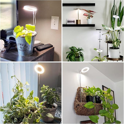 Grow Lights for Indoor Plants, Full Spectrum Plant Lights for Indoor Growing with with 3/9/12H Timer, 3 Color Modes, 10 Brightness, 6.5"-26" Height Adjustable Small Grow Light, 1 Pack(3.4in)