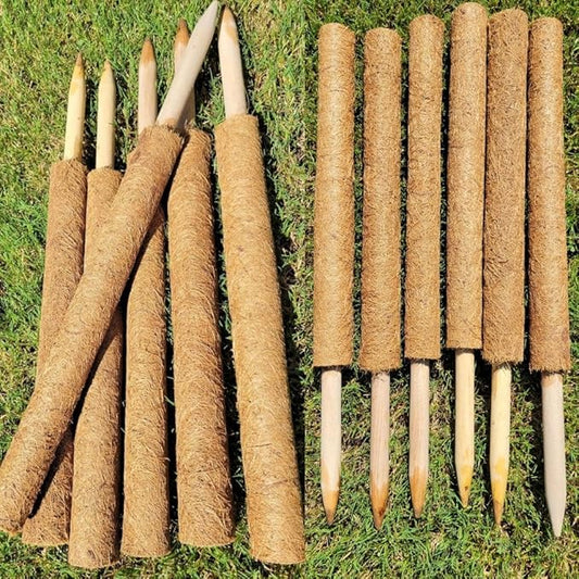 Pack of 6 Coco Coir Pole- Plants Monstera 24" Sized Poles for Climbing Plants, Plant Support Stakes for Indoor/Outdoor Potted Plants