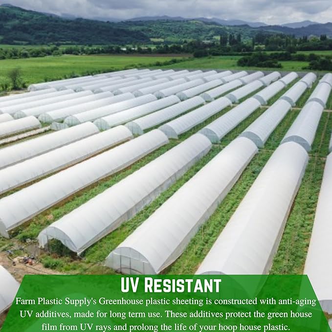 Farm Plastic Supply - String Reinforced 4 Year UV Resistant 10 mil White Greenhouse Plastic Sheeting - 4 Year UV Resistant Polyethylene Greenhouse Film, Hoop House Green House Cover (32' x 75')