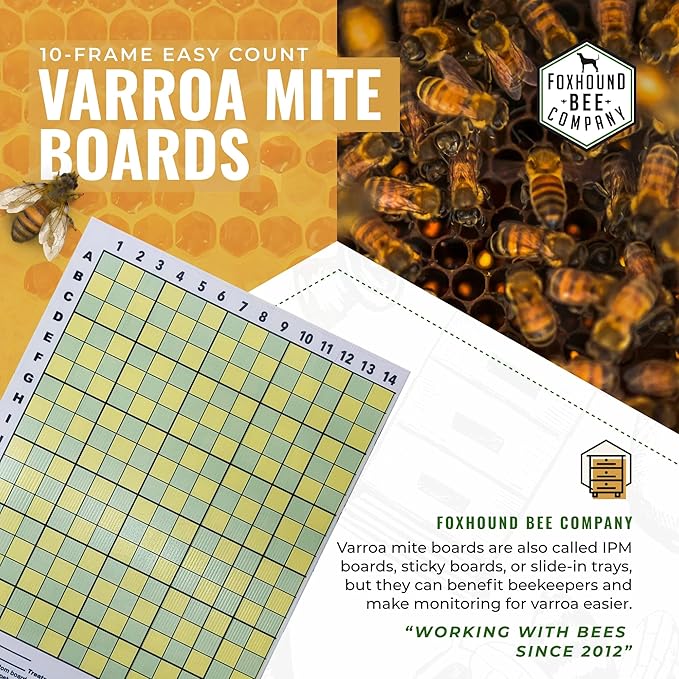 Varroa Mite Counting Board for Monitoring Mite Drop or Closing Off Screened Bottom Board (4-Pack) (10-Frame)