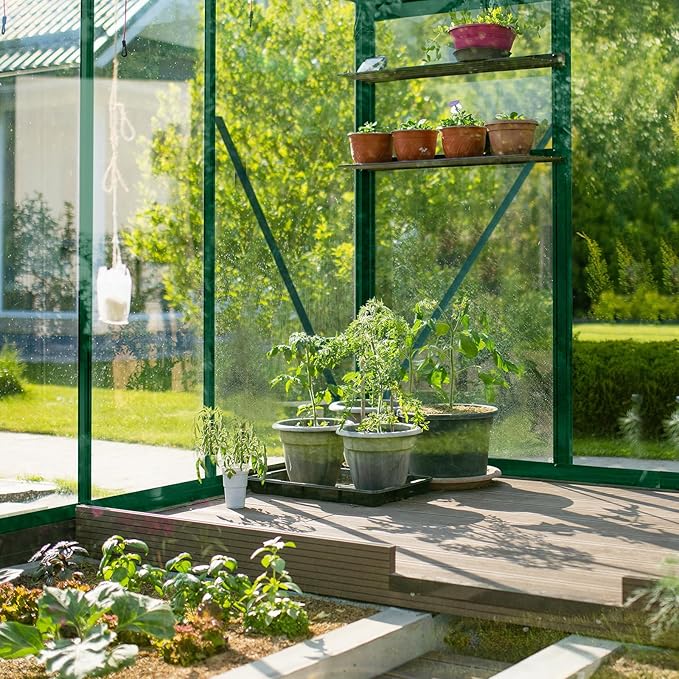 VINGLI 6x10 FT Greenhouse for Outdoors, Twin-Wall Translucent Heavy Duty Polycarbonate Greenhouse Kit with 5 Roof Vents, Weather Resistance for Plants Protection, for Home Gardening (Green, 6x10 FT)