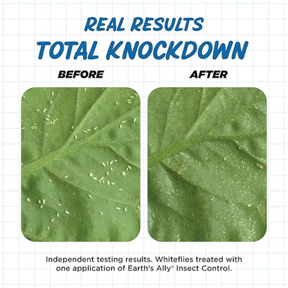 Earth's Ally Insect Control for Plants Ready-to-Use 24 oz | Safe Outdoor & Indoor Plant Insecticide, Spider Mite, Aphid & Mealybug Killer - Effective Spray for Organic Garden & Household Plants