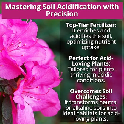 8-4-8 Acidic Fertilizer for Azaleas, Camellias (Camelia), Hydrangeas, Blueberries, Gardenias, Magnolia Trees, Evergreens, and Rhododendrons - Ideal Iron-Rich Plant Food (12 OZ)