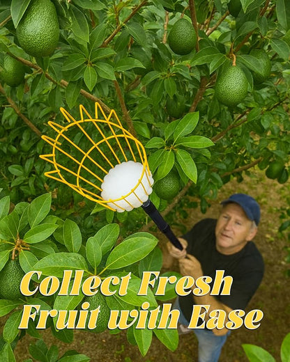 6.5FT Fruit Picker, Apple Picker Tool with Adjustable Pole and Basket, Long Reach Mango Grabber Tool, Tree Fruit Catcher for Picking Lemon Pear Orange Avocado Peach Citrus