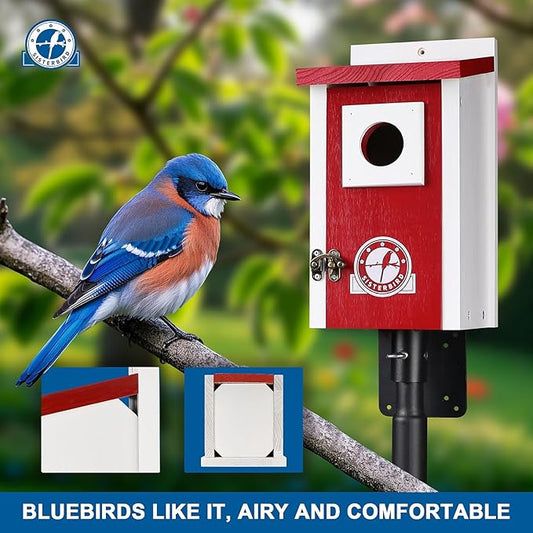 Bird Houses for Outside, Claret-Red Bird House, Bluebird Houses for Outside, Garden Decoration Birdhouses for Outdoors, Bluebird Finch Swallow Wren Chickadee
