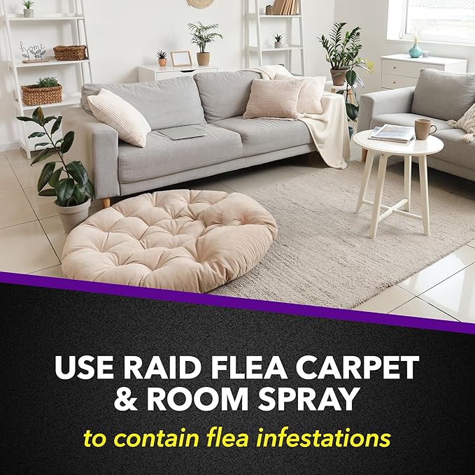 Raid Flea Killer Carpet & Room Spray, Kills hatching eggs for up to 4 months, 16 Oz