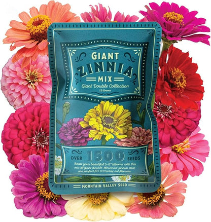 Zinnia Seeds for Planting Outdoors - ~1,500 California Giant Mix Zinnia Seeds - Beautiful 4' Tall Wildflower Blossoms - Zinnia elegans Pollinator Seed Mix - Bright, Cheerful Annual Flower Seed Packets