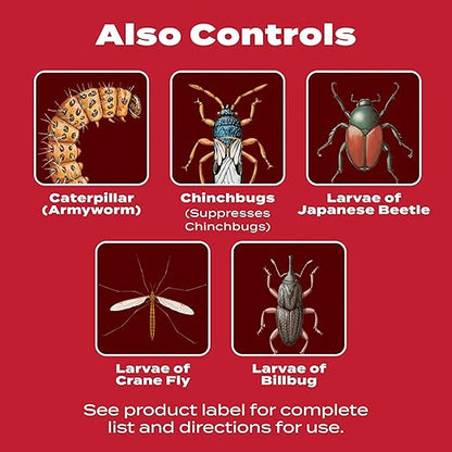 Scotts GrubEx1 Season Long Grub Killer, Protects Lawns Up to 4 Months, 5,000 sq. ft., 14.35 lbs.