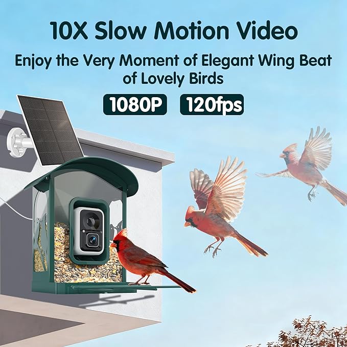 Humbirdy-Bird Feeder with Camera, 8MP Ultra HD Video & Photo, 10x Slow-Motion, 4K 30fps Live View, AI Identify, No Subscription, 2.4G/5G Wi-Fi, Solar Powered, Wildbird Watching Gifts-Metal
