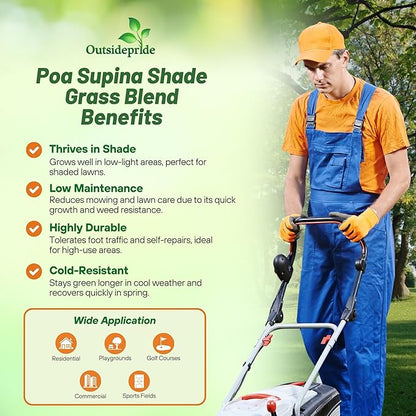 Outsidepride 1 Lb Supranova Shade Grass Mix of POA Supina & Rough Bluegrass - Shade Tolerant Grass Seed for Golf Courses, Athletic Fields, & Outdoor Lawns, OptiGrowth Coated for Seed Enhancement