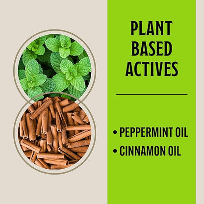 Grandpa Gus's Rodent Repellent Spray, Peppermint & Cinnamon Oil, Prevents Mouse/Rats from Nesting & Chewing on Wires, 16 fl oz (Pack of 1)